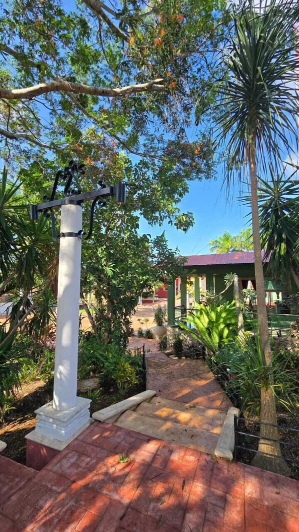 Park view