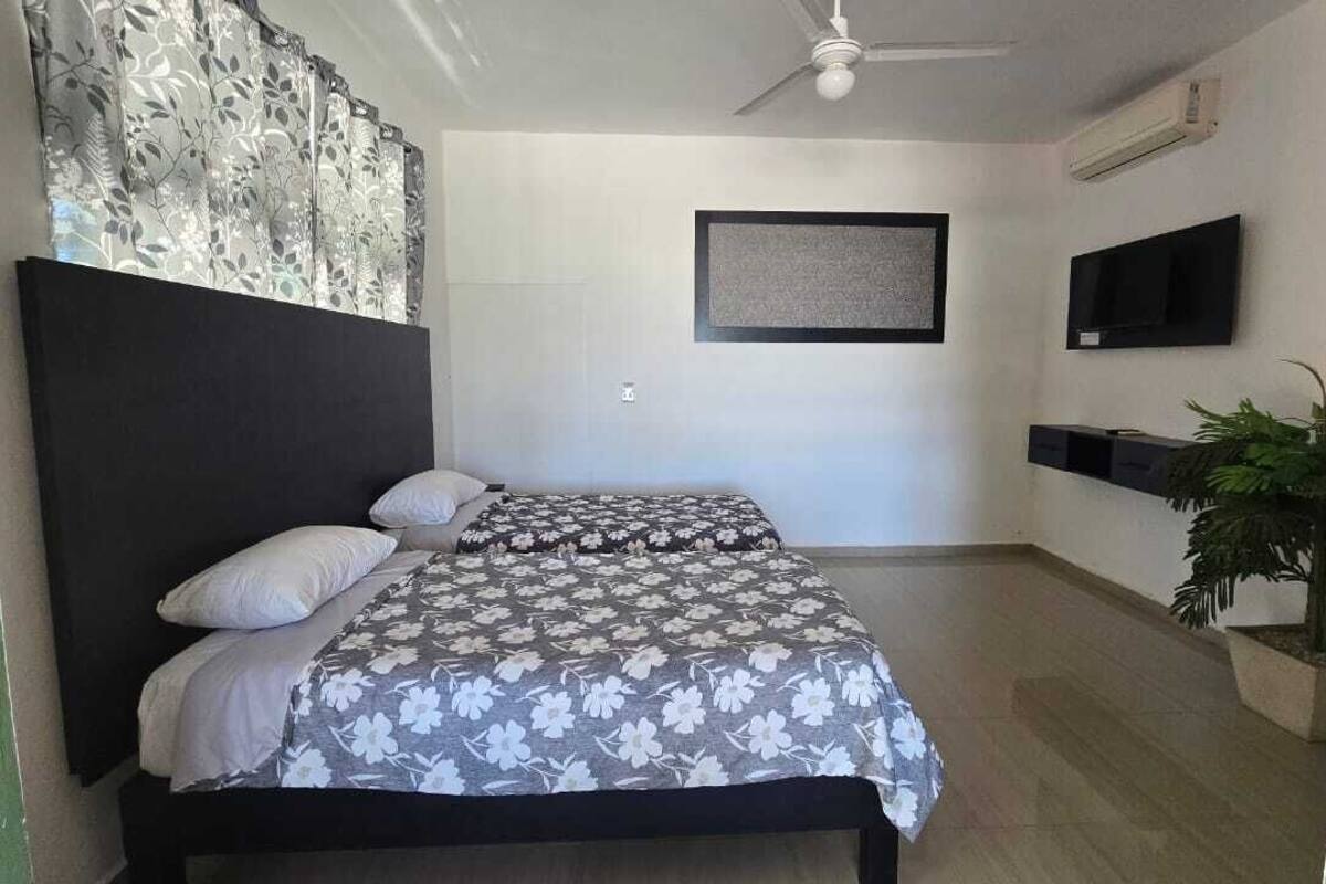 A bedroom with two beds, a ceiling fan, a mounted TV, and a potted plant.