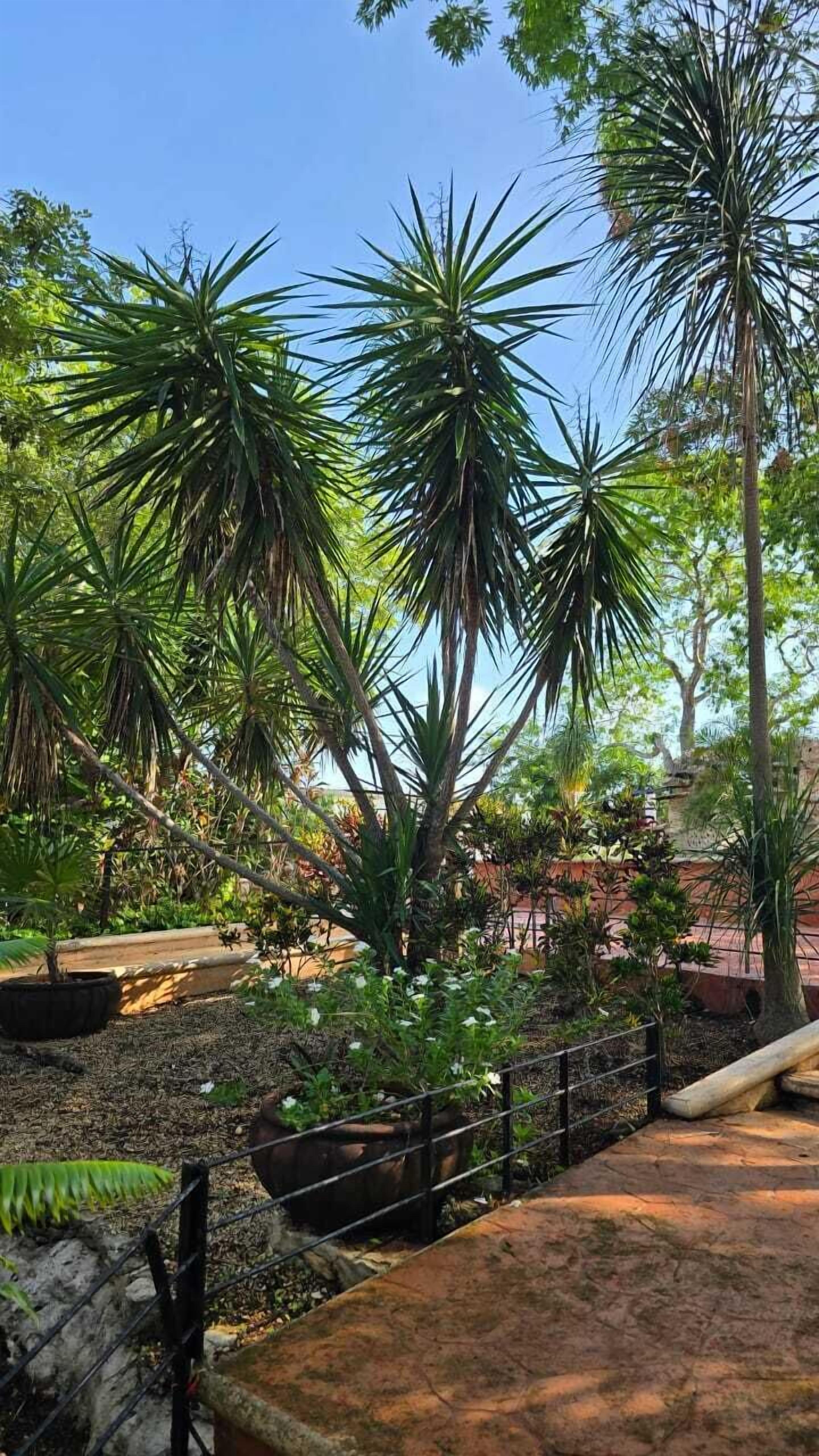 Foto - Hotel Real Zaci