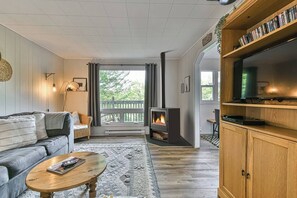 TV, fireplace, DVD player