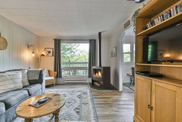 TV, fireplace, DVD player