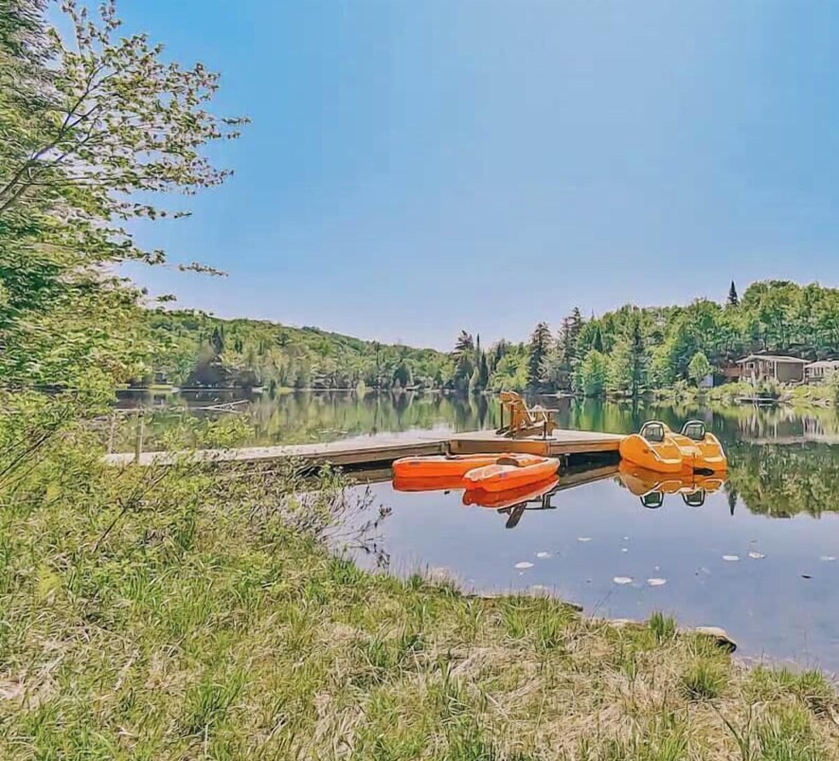 Bild für Gastgeberprofil