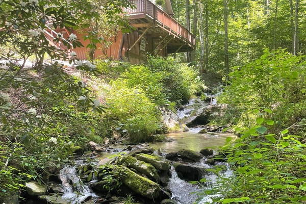 Jardines del alojamiento