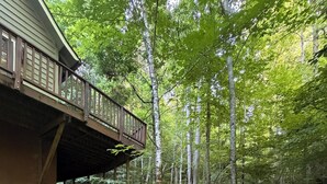 Eine Holzterrasse mit Geländer, mit Blick auf einen bewaldeten Bereich und einen kleinen Bach.