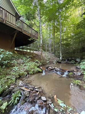 Une terrasse en bois dotée d’une rambarde, qui offre une vue sur une zone boisée et un petit ruisseau.