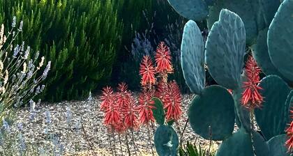 Holiday Home 'Herdade Da Carapuça' with Mountain View, Private Pool and Wi-Fi