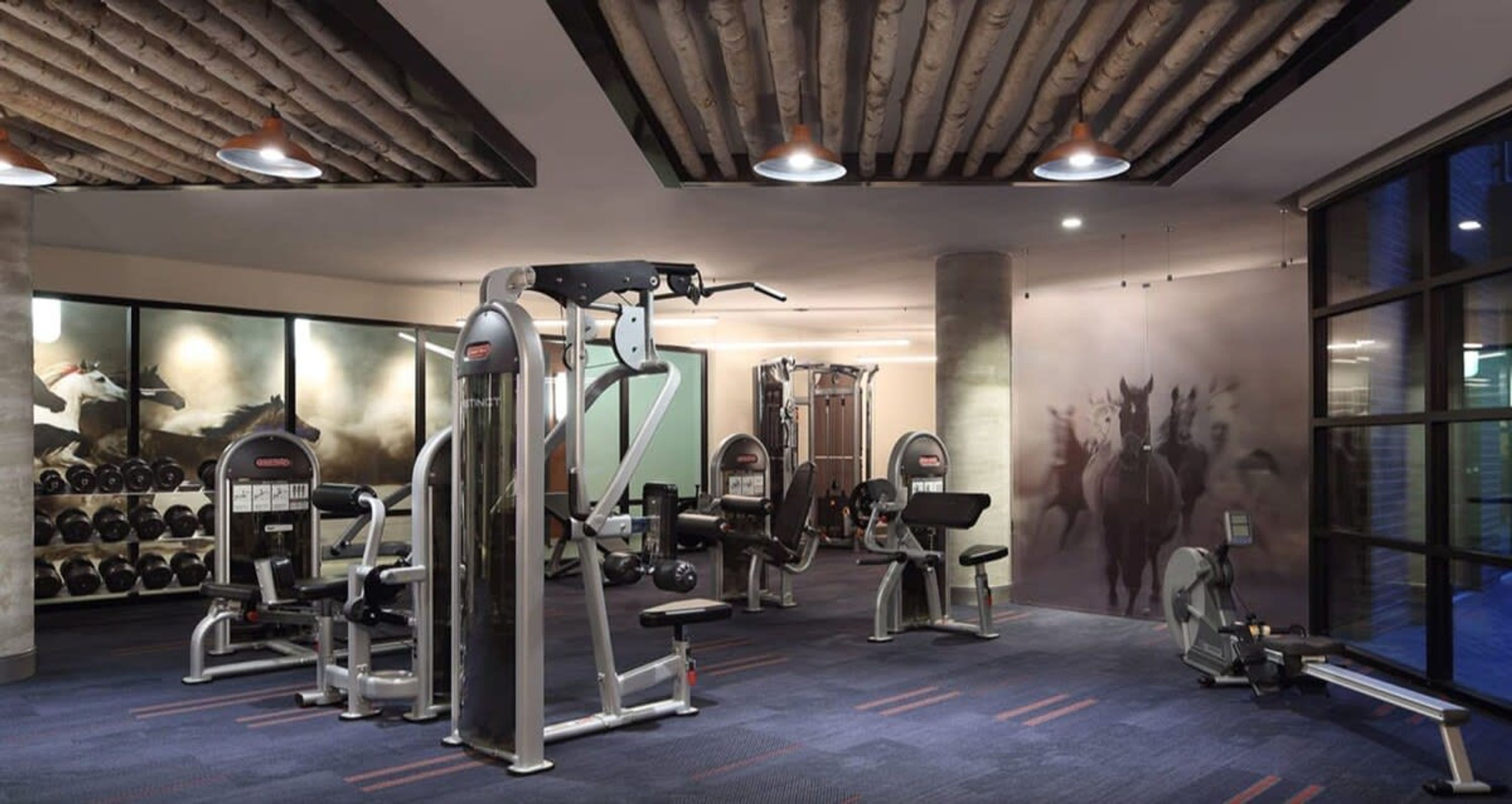 A gym with various exercise equipment, a wall of dumbbells, and a large window with a view of the outside.
