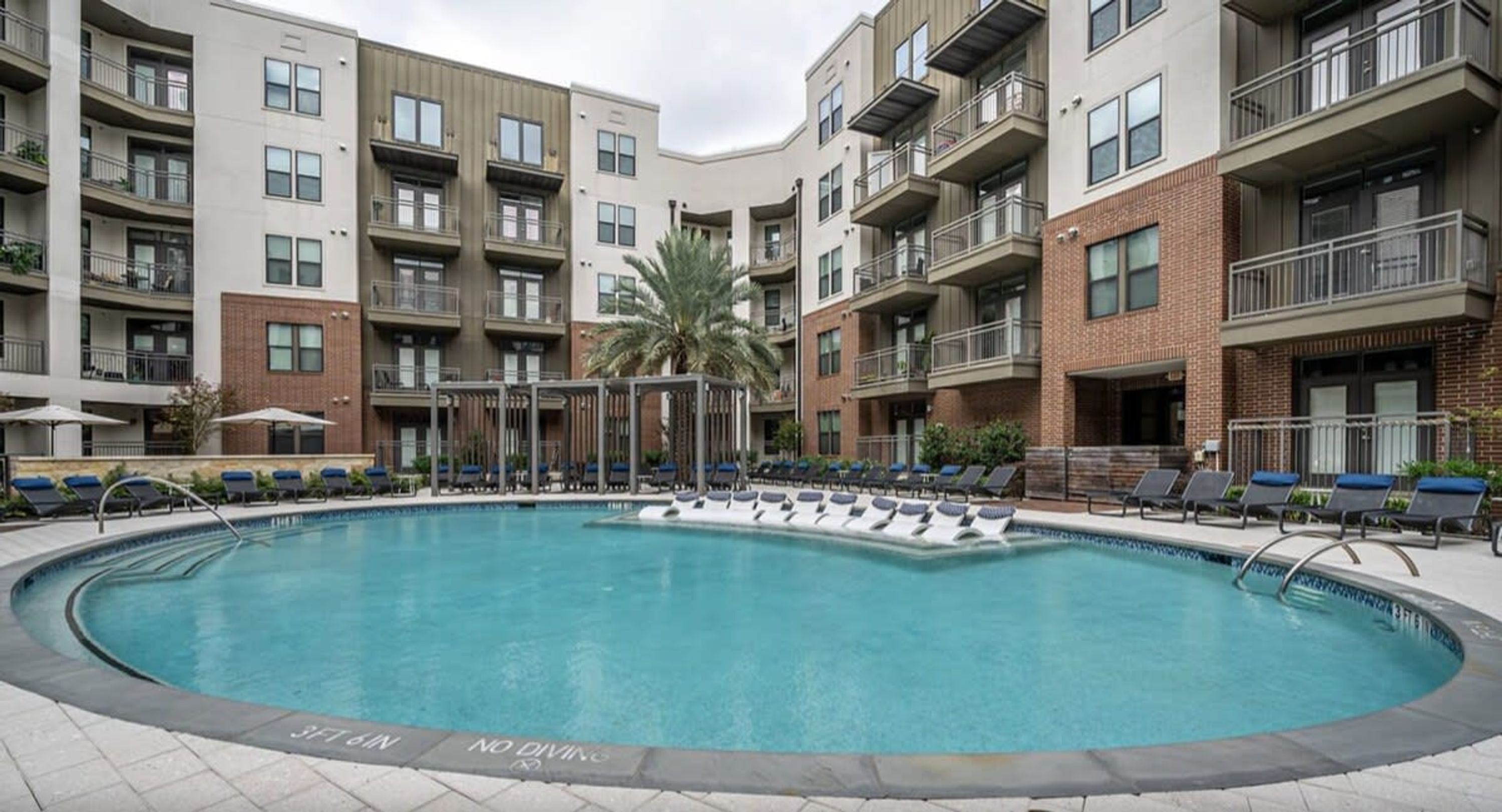 A swimming pool surrounded by lounge chairs and a palm tree, with multi-story buildings in the background.