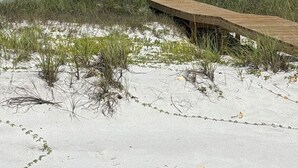 Een meerlaags strandhuis met balkons, een houten terras en een zandstrand op de voorgrond.