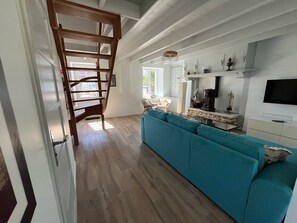 Smart TV, fireplace, books