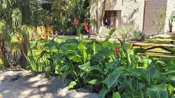 Una piscina al aire libre, sombrillas, sillones reclinables de piscina
