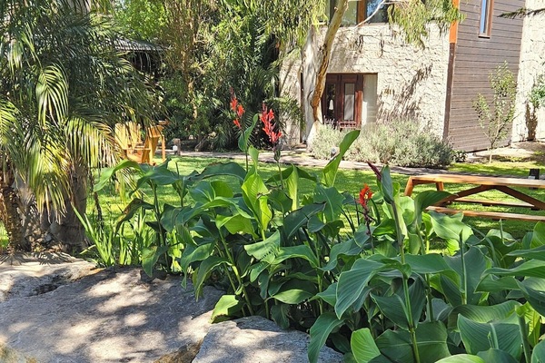 Una piscina al aire libre, sombrillas, sillones reclinables de piscina