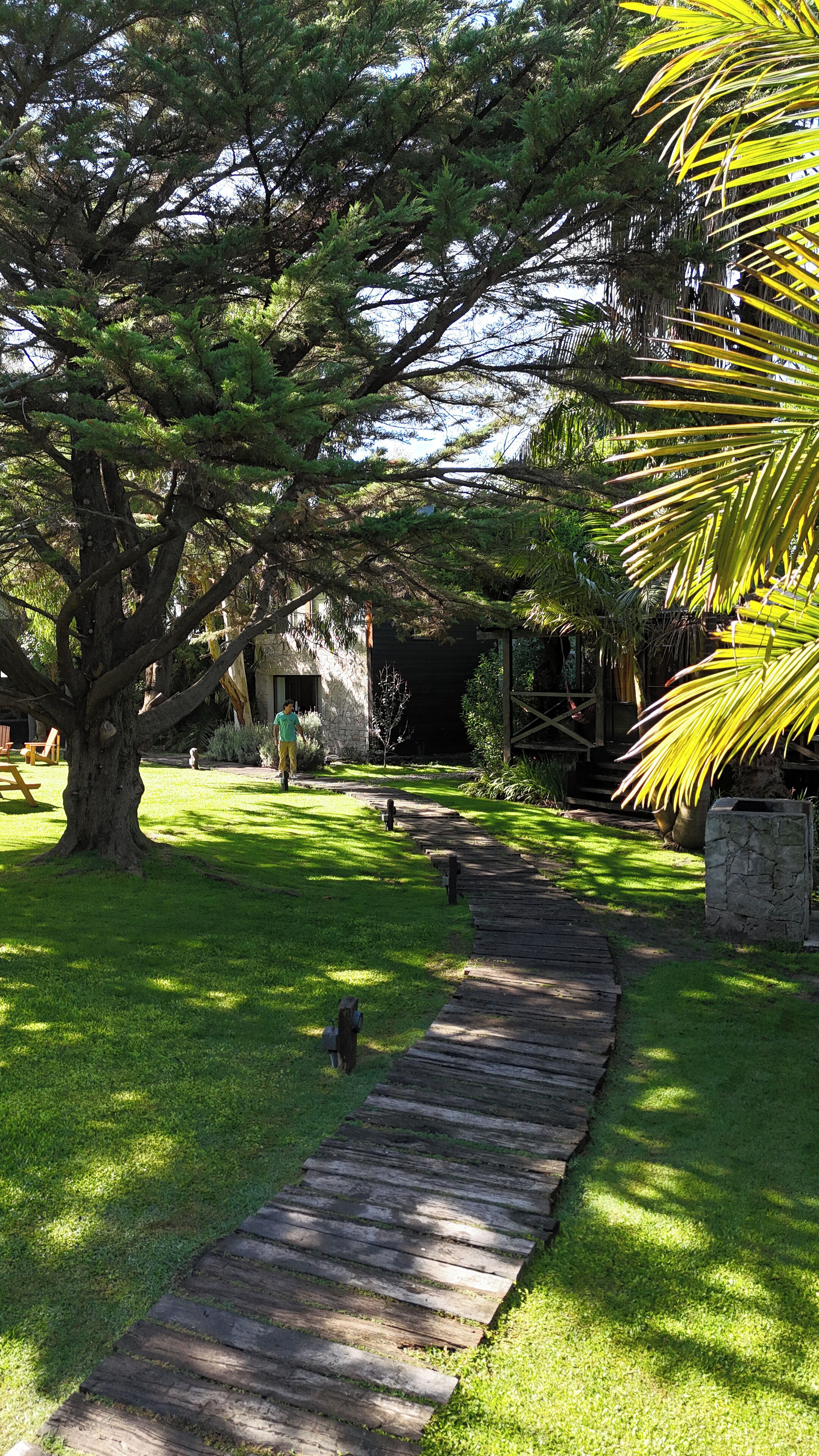 A wooden pathway leading through a lush garden with a large tree and a stone structure in the background.