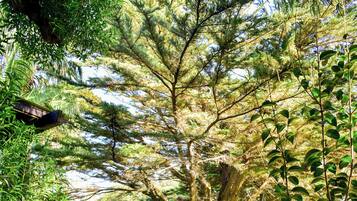 Mặt tiền nơi lưu trú