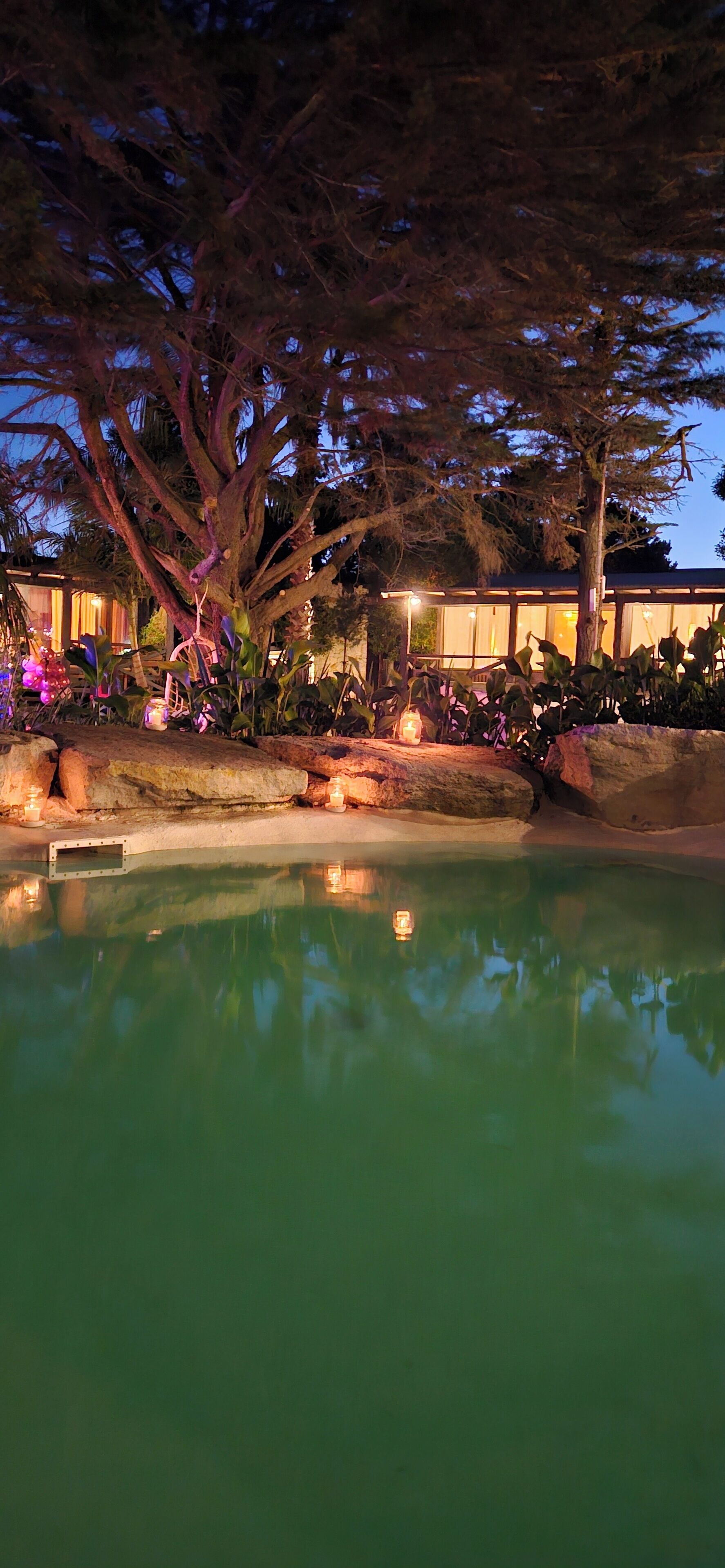 A nighttime view of a pool area with a large tree, a building with large windows, and a well-lit walkway.