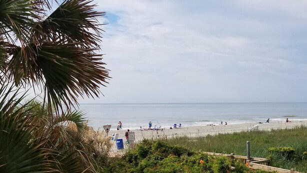 A beach with palm trees and a fence in the foreground.