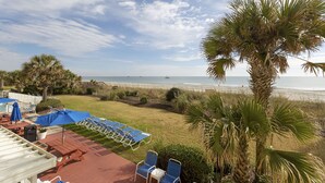 A beach view with lounge chairs and umbrellas, palm trees, and a clear sky.