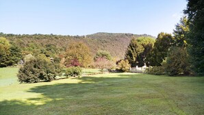 A grassy field with trees and a hill in the background.