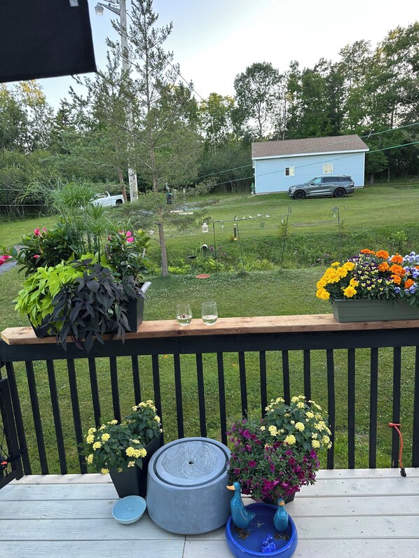 Overnattingsstedets uteområder