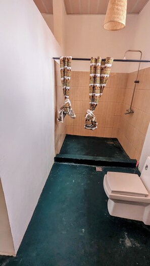 Separate tub and shower, hair dryer, towels, soap