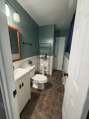 Hair dryer, bidet, towels, soap