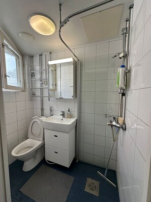 Une salle de bain comprenant des toilettes, un lavabo, un miroir, une douche et une fenêtre.