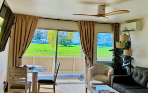 تلفزيون ذكي