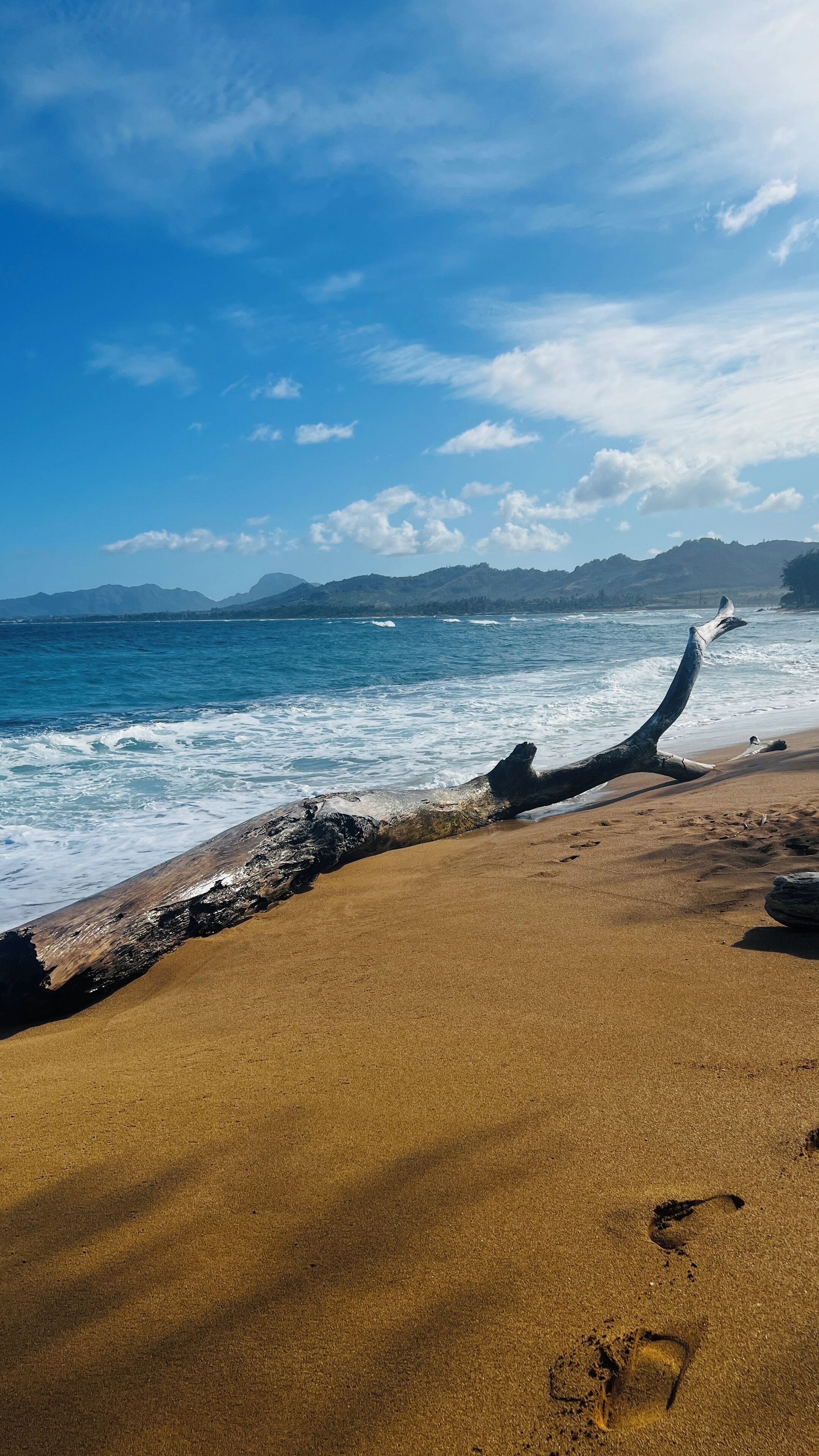 Beach nearby, sun-loungers, beach towels