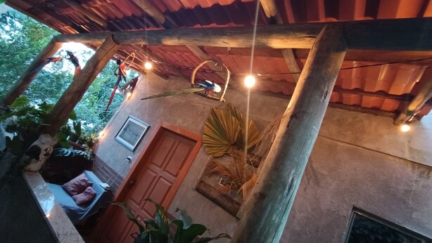 A covered outdoor area with a wooden ceiling, a door, and a window. There are plants and a bench.