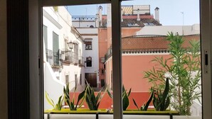 A window with a view of a narrow street with buildings, a balcony with plants, and a door frame.