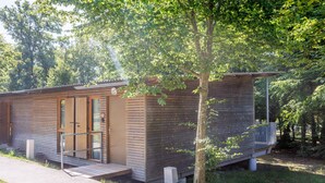 Una cabaña moderna de madera con puerta de vidrio, un pequeño porche y un sendero que conduce a la entrada.