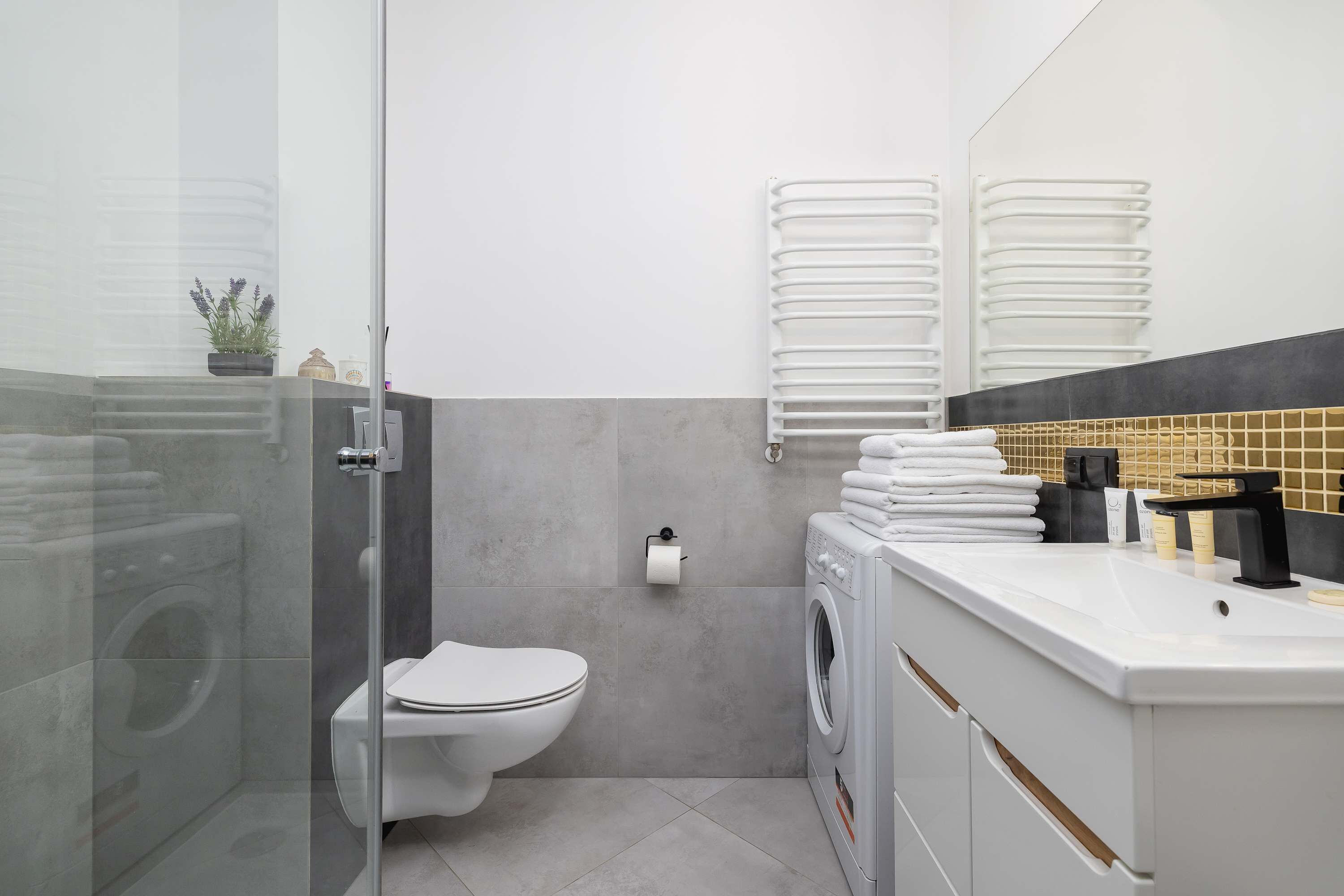 Shower, hair dryer, towels, shampoo