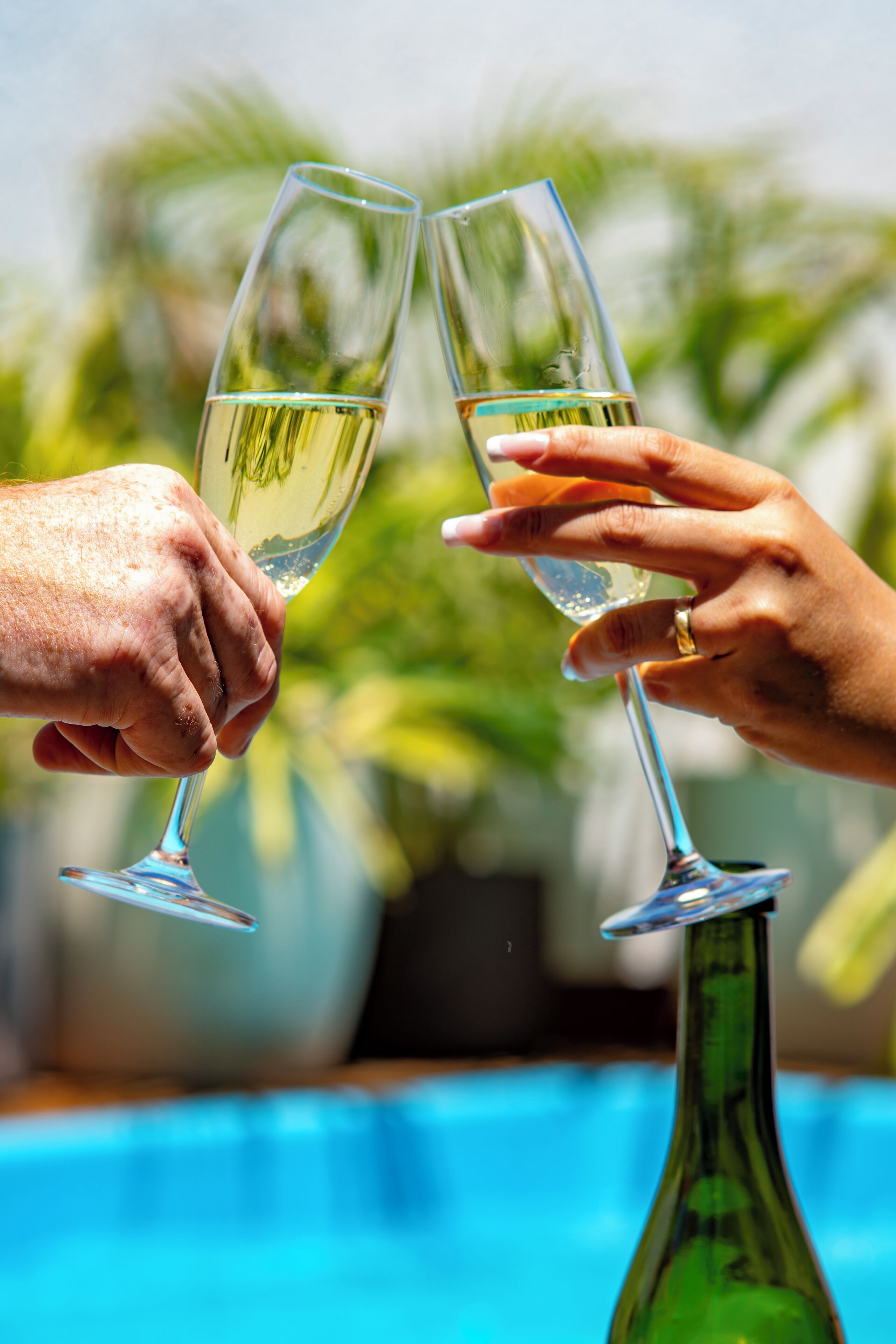 Two hands holding wine glasses, a green bottle, and a poolside setting with palm trees.