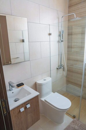 Shower, hair dryer, towels, shampoo