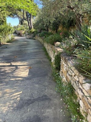 Property grounds - Lovely stone farmhouse in plein❤️des Alpilles On one hectare of wooded land (Orgon)