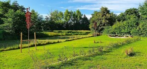 Property grounds - Ferienwohnung Eisvogel (Wiek)