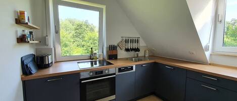 Fridge, oven, stovetop, dishwasher
