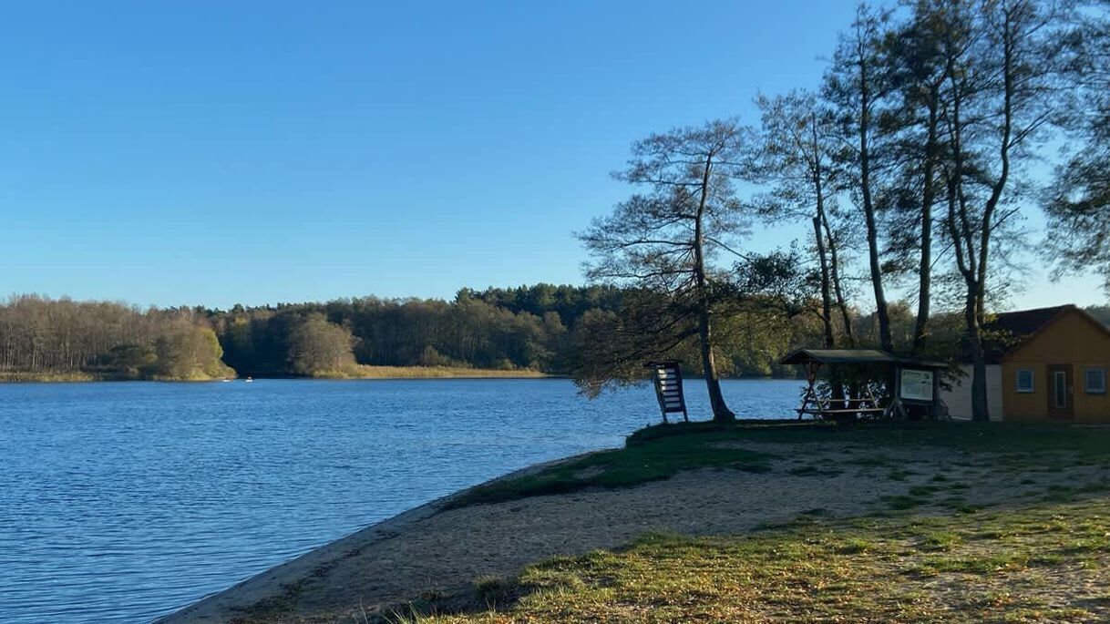 Blick auf einen See mit einer Holzsteganlage, einem kleinen Gebäude und Bäumen.