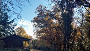 A rustic cabin with a covered porch, surrounded by trees with autumn foliage. - Secluded Escape with a hot tub, surrounded in nature (BLUFFDALE)
