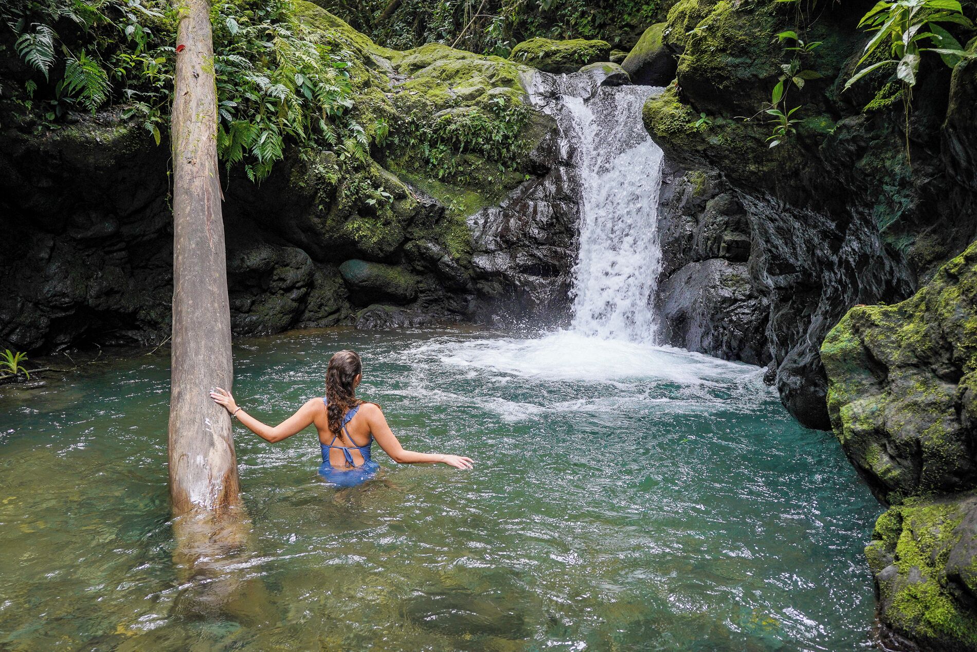 Una cascada en un área boscosa con agua cristalina.