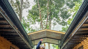 A wooden cabin with a trampoline in the center, surrounded by a natural setting with trees. - RIOS LODGE (Pacuarito)
