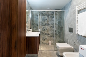 Shower, hair dryer, bidet, towels