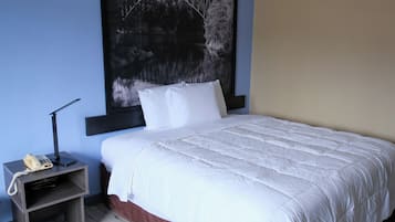 Habitación individual | Wifi gratis