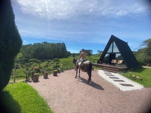 华丽木屋 | 露台