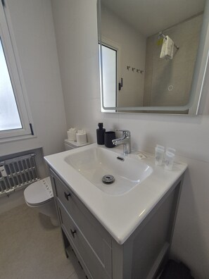 Shower, hair dryer, towels