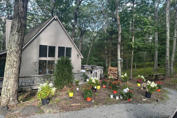 Áreas de la propiedad