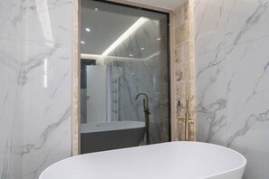 Shower, hair dryer, bidet, towels