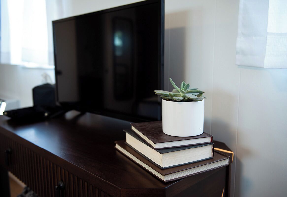 Un escritorio de madera con un televisor, una planta en maceta y una pila de libros.