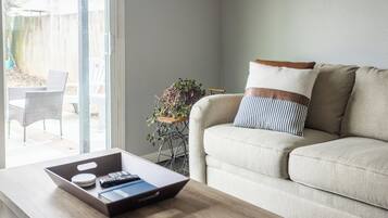 スマートテレビ、暖炉、DVD プレーヤー