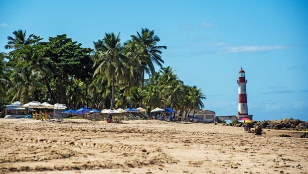 A beach with a lighthouse, palm trees, and beach umbrellas. - Apartamento Salvador Praia (Salvador)